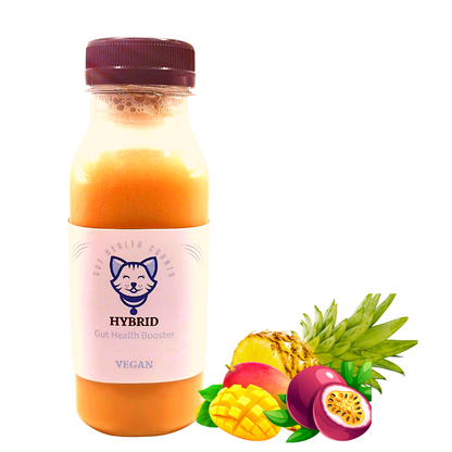 SUPER-DRINK - Smoothie Hybride ++ Ananas-Mangue-Passion