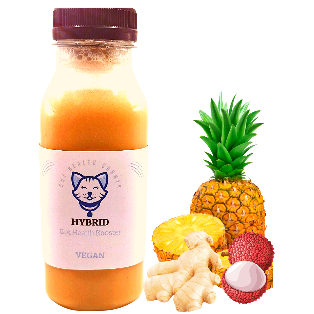 SUPER-DRINK - Smoothie Hybride ++ Ananas-Litchi-Gingembre